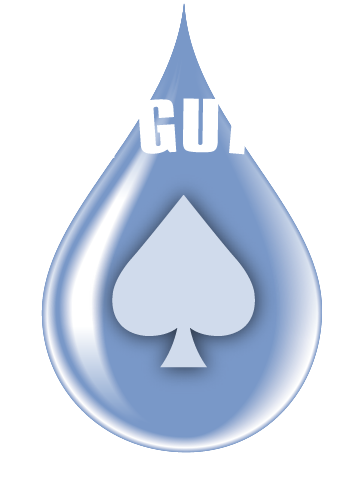 Ace Gutter Logo and home link